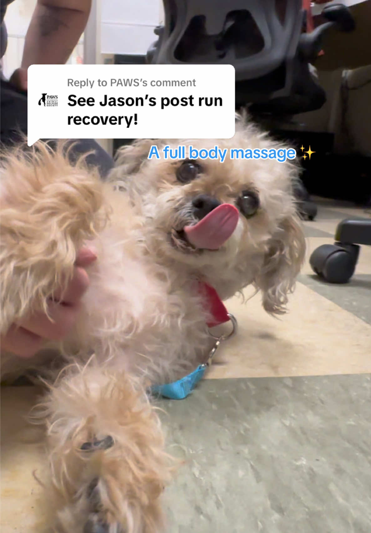 @PAWS
