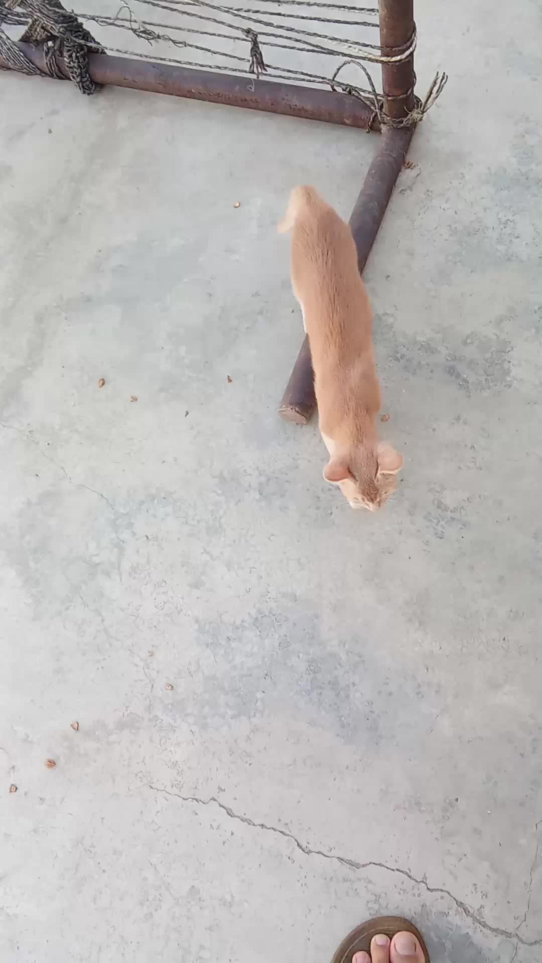 @cutecatlover8172