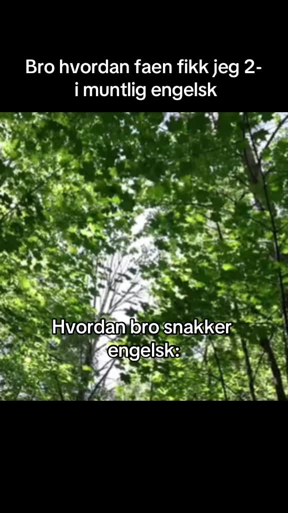 @Norske.memes.