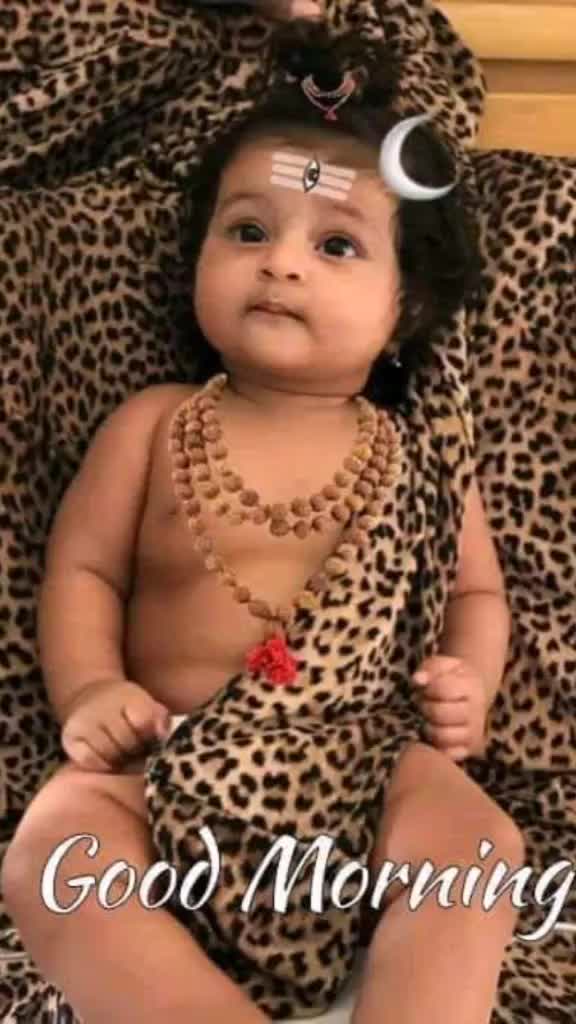 @vivek singh