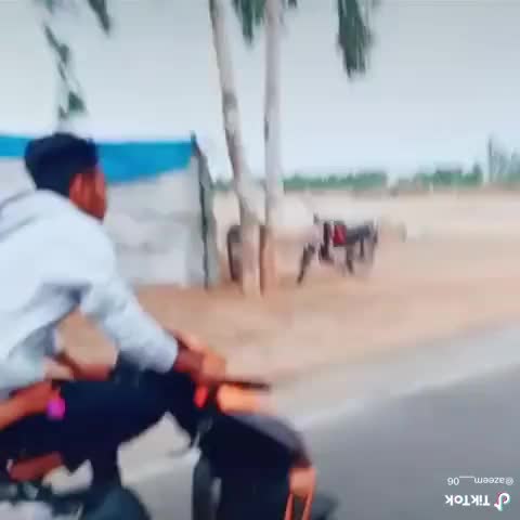 @Mj Raj