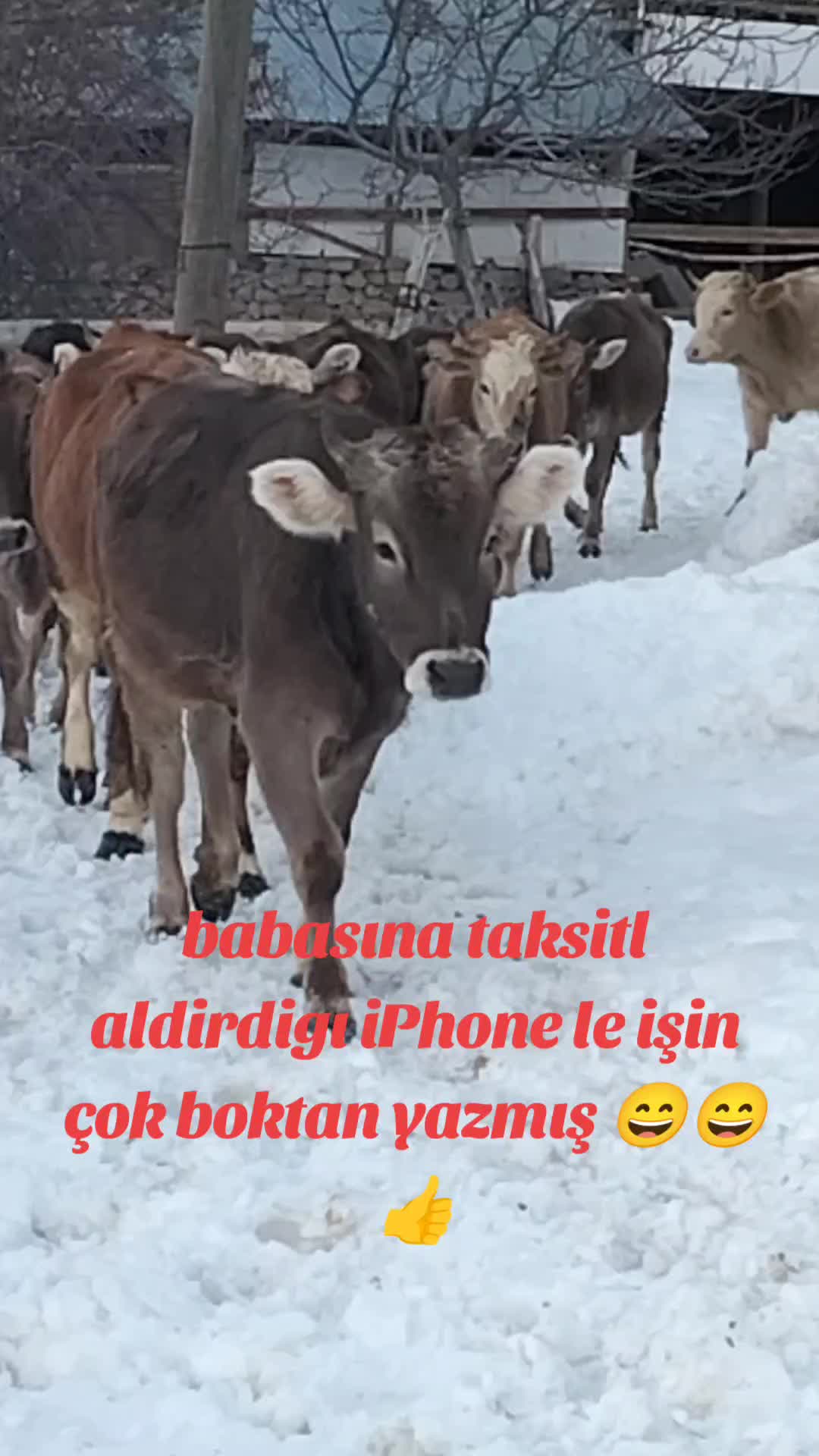 @Yusuf