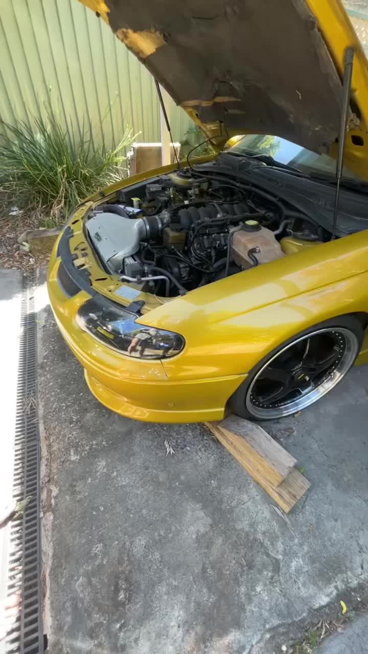 @VXWHO