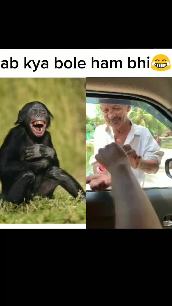 @Rohit Kashyap