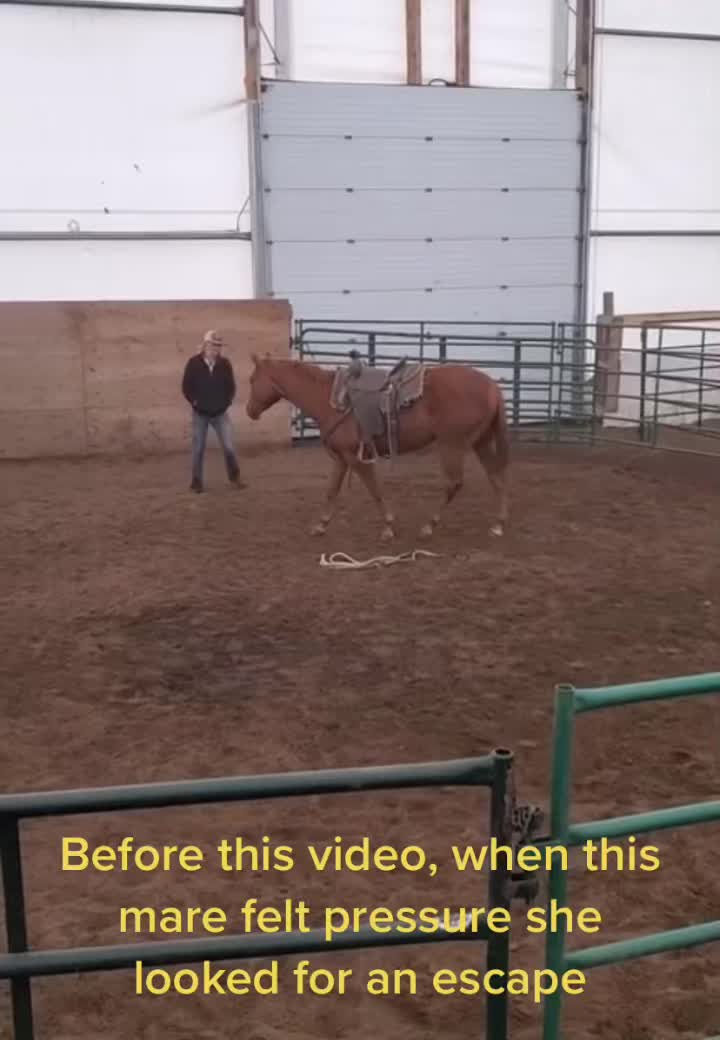 @Peyton Mastad