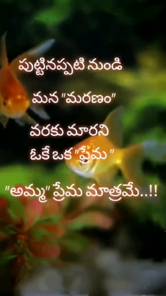 @A.thirumalarayudu