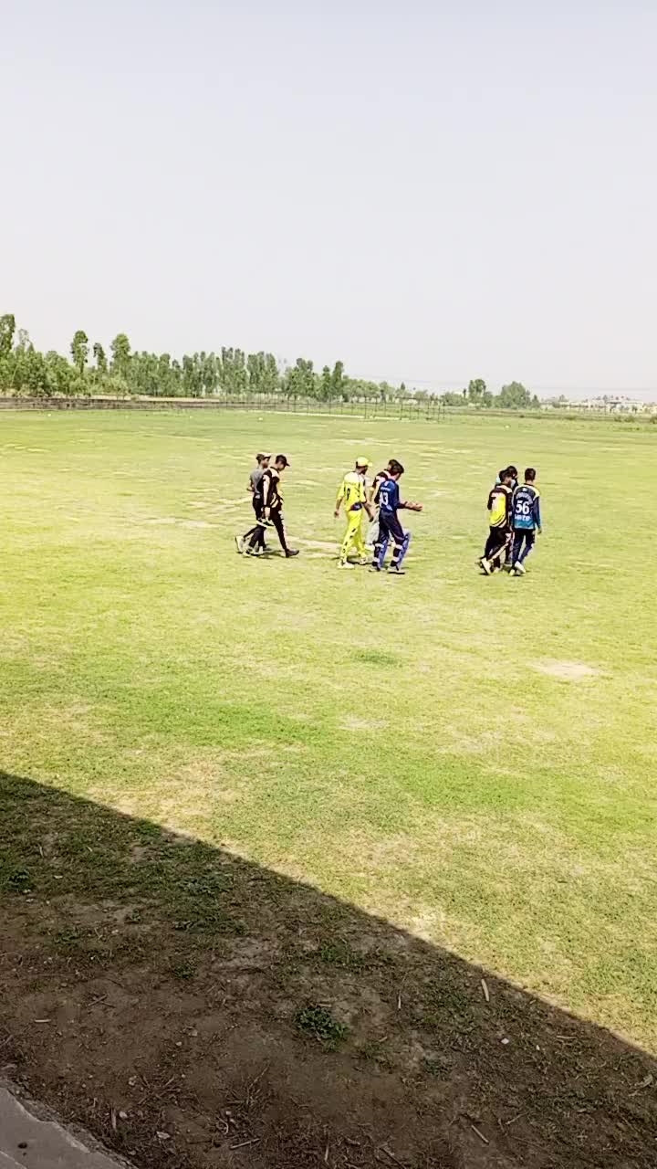 @Cricket X Memes