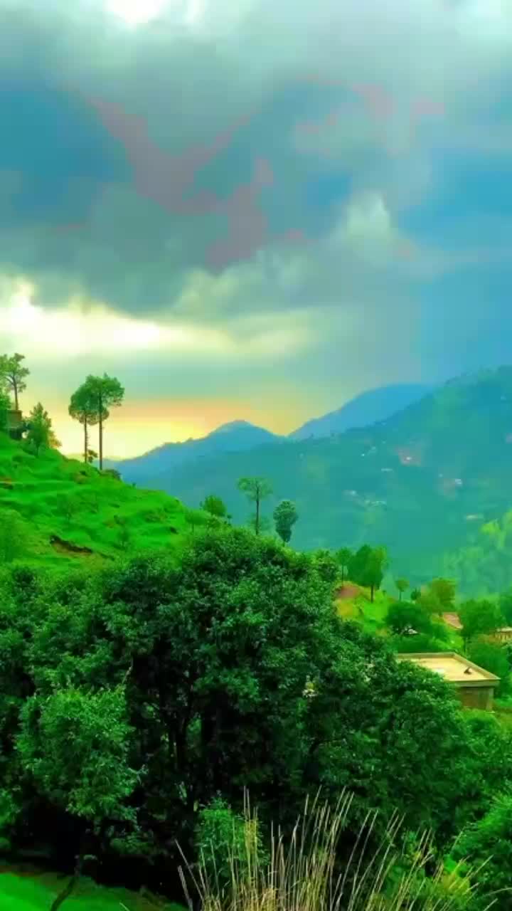 @💞zoyakhan3223💞