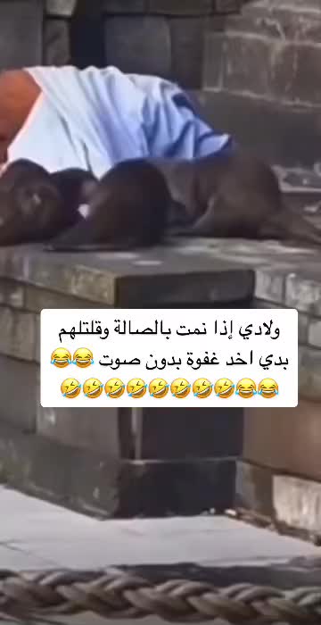 @Crazywaife5