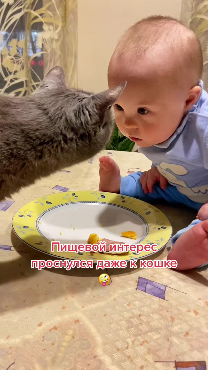 @Пётр