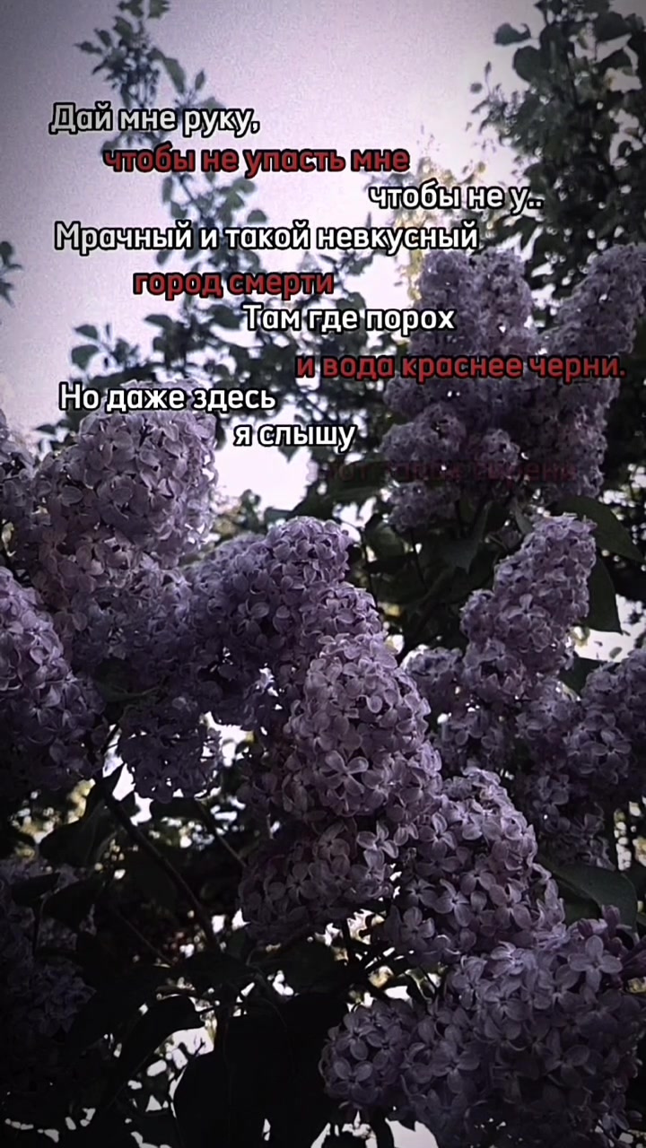 @ꕤ₊˚