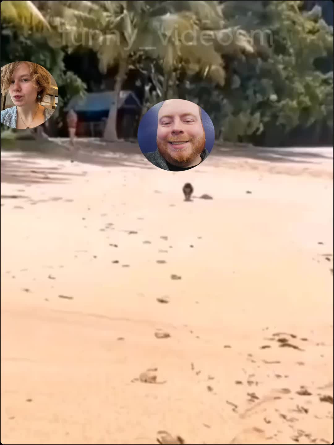 @Atlas64Gaming