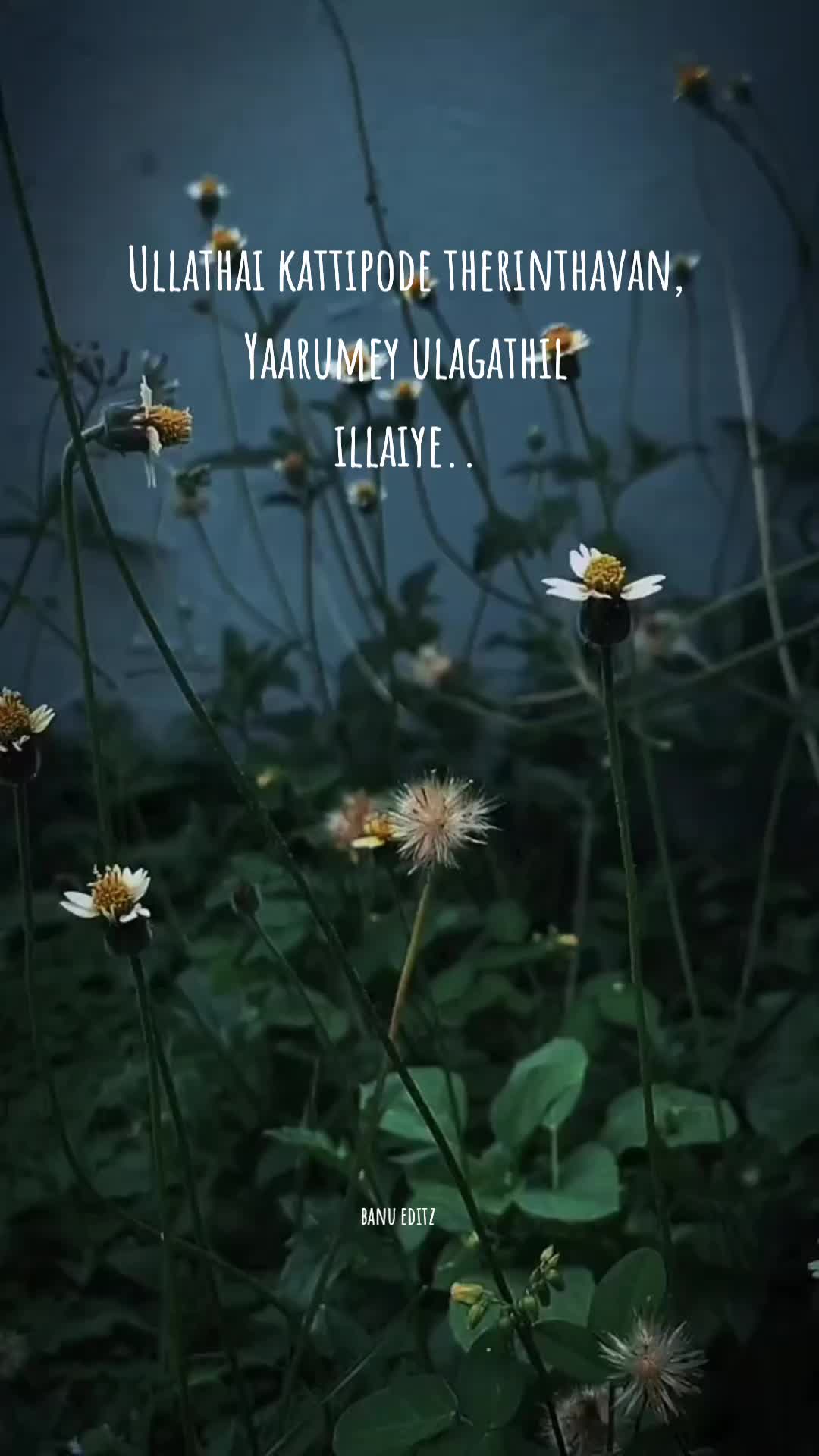 @DaughterOfSivasangaran✨.