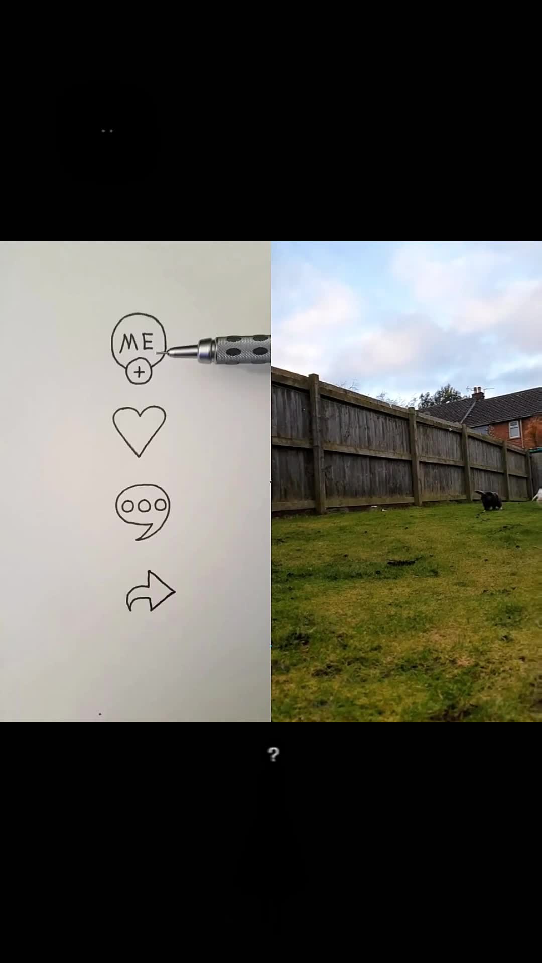 @max5yr