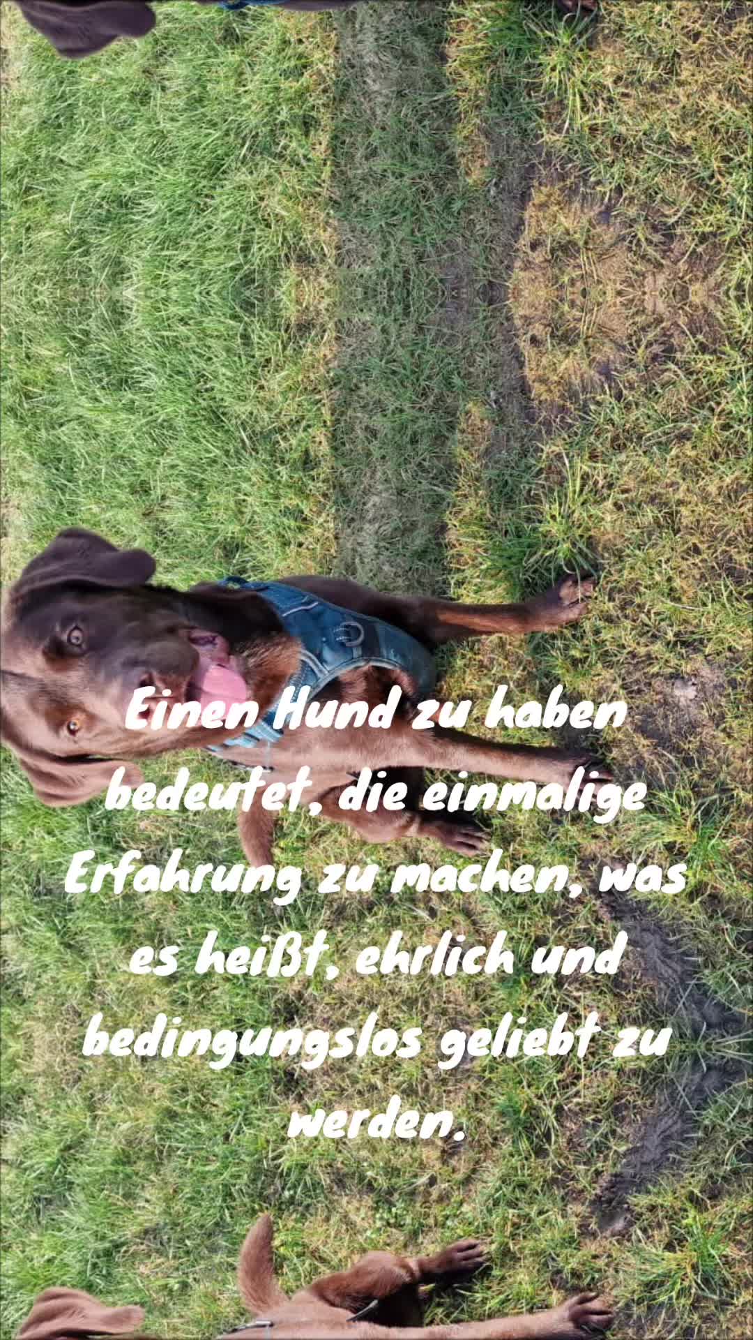 @🐾 Koda & me 🐾