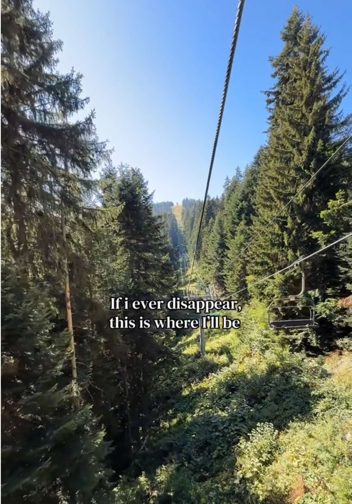 @Staywild