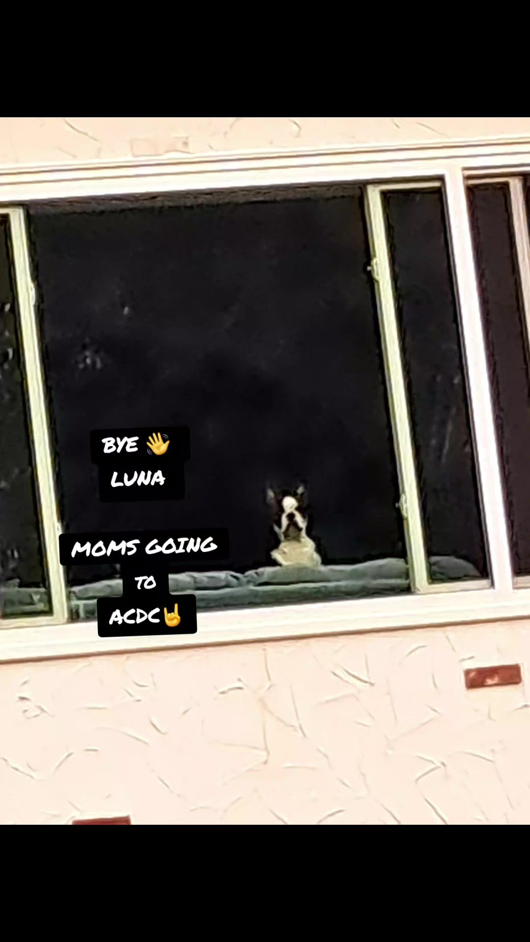 @Lunalovinlife🇨🇦