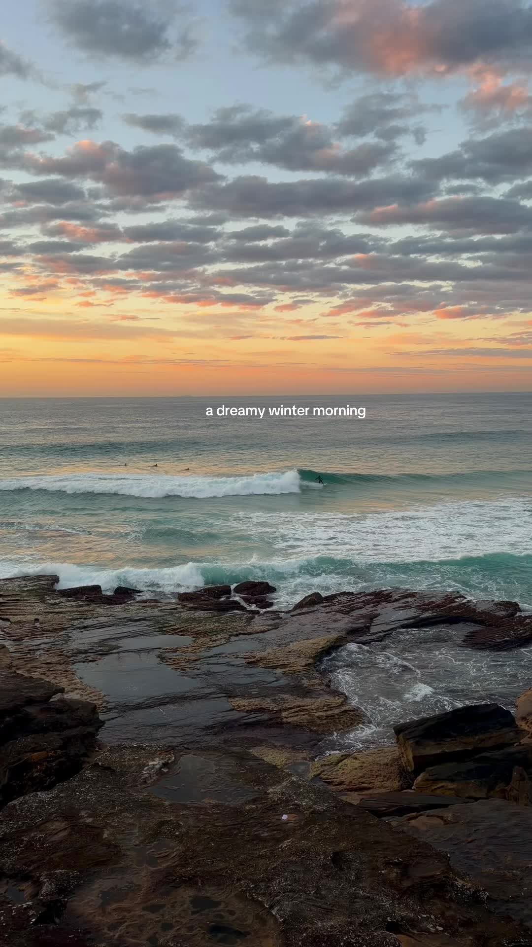 @Jess | Life in Aus 🐳🦘🇦🇺