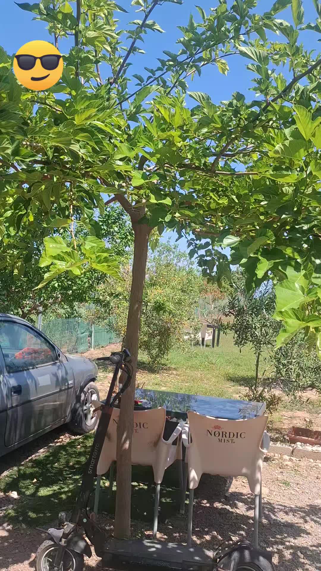 @akrabi