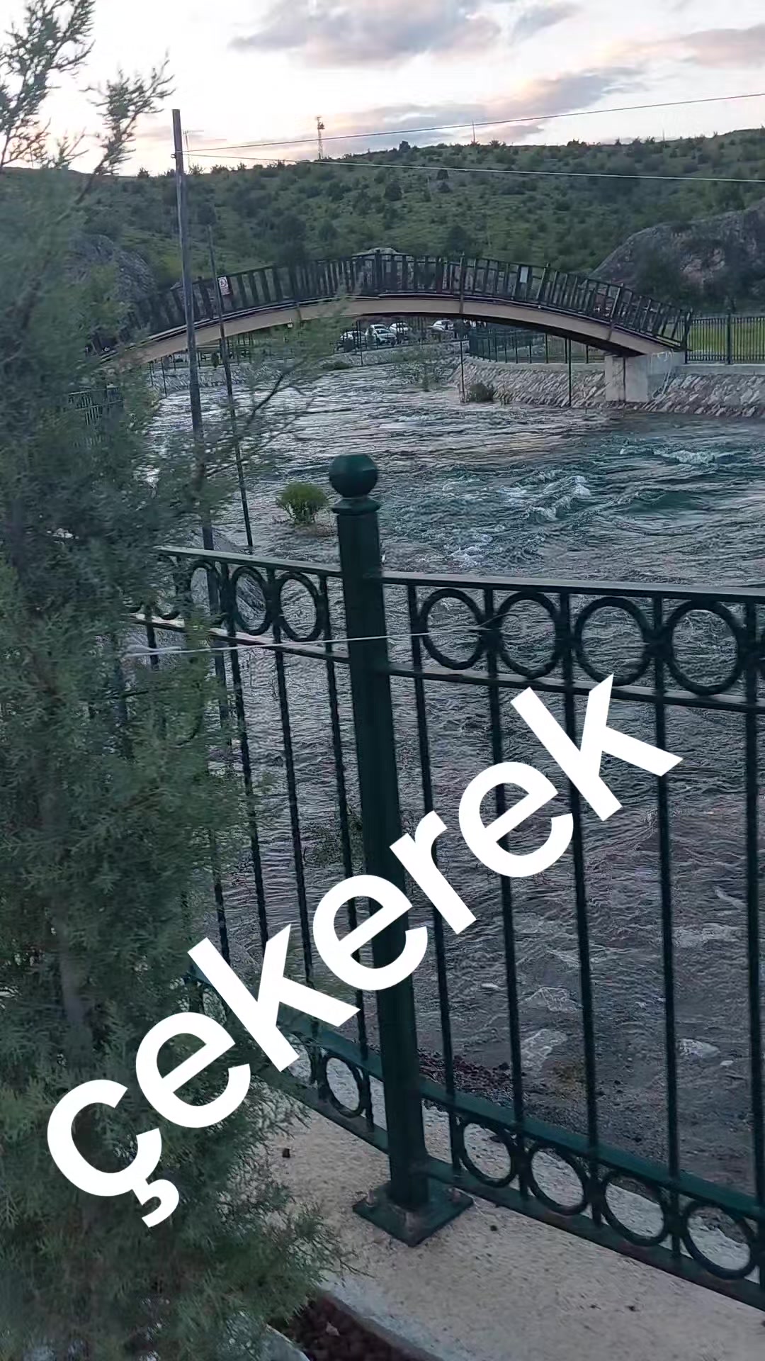 @Ali Sultan kurt ❤️