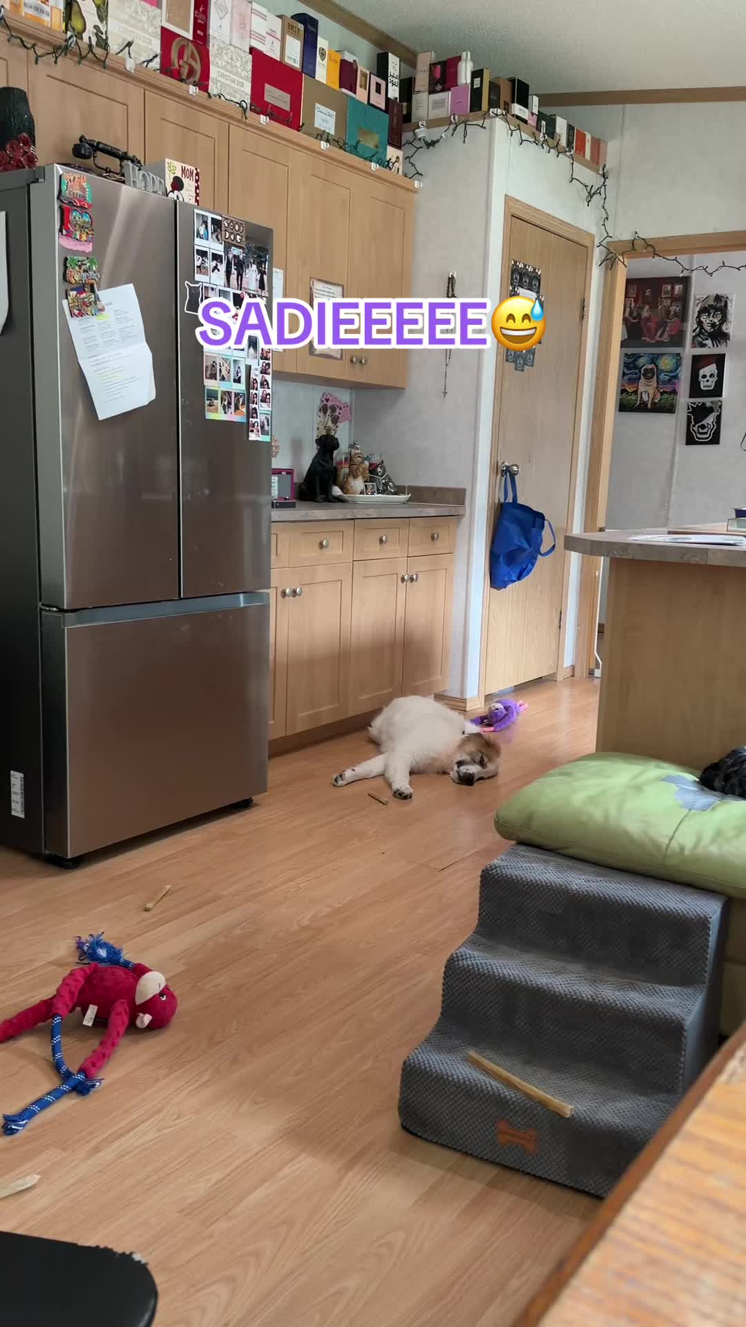 @kingICEqueen