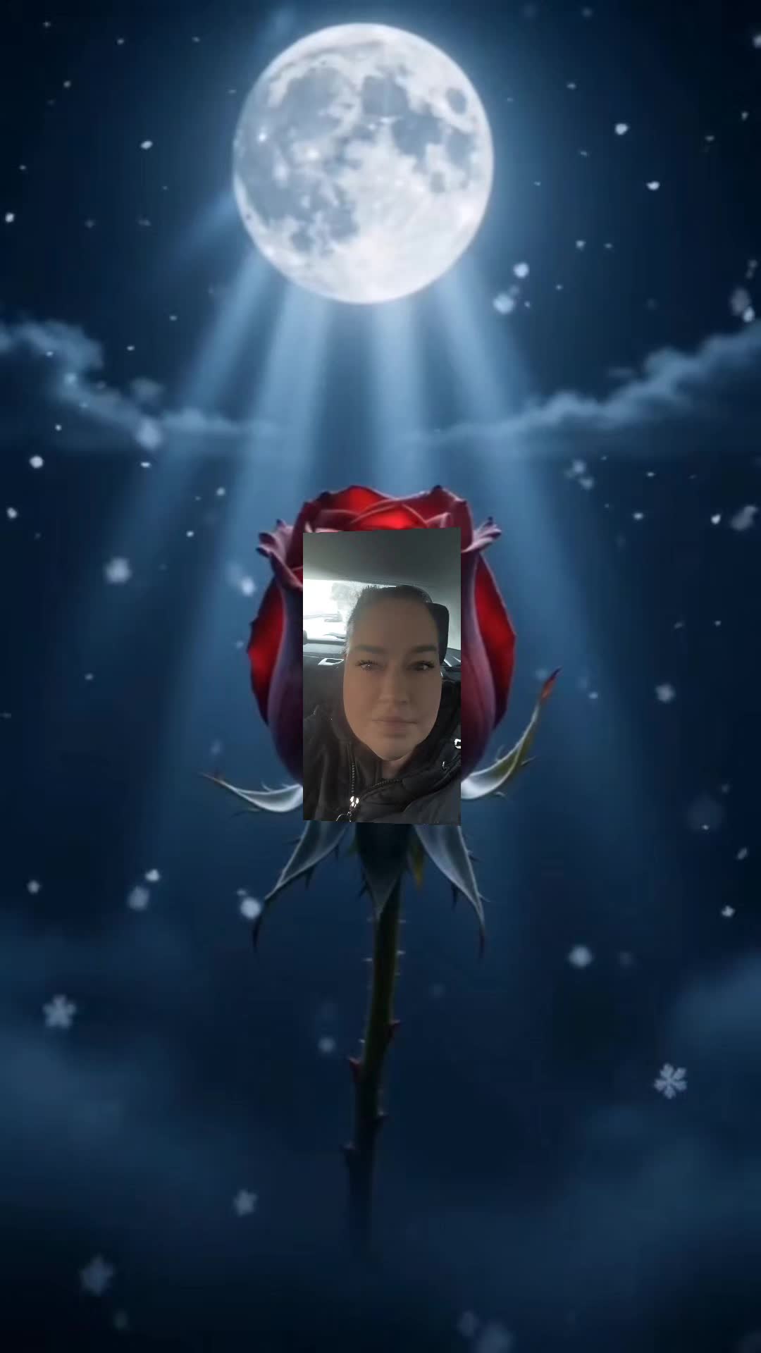 @Isabella🐝❤️🇨🇭🫶🇹🇳❤️🐝