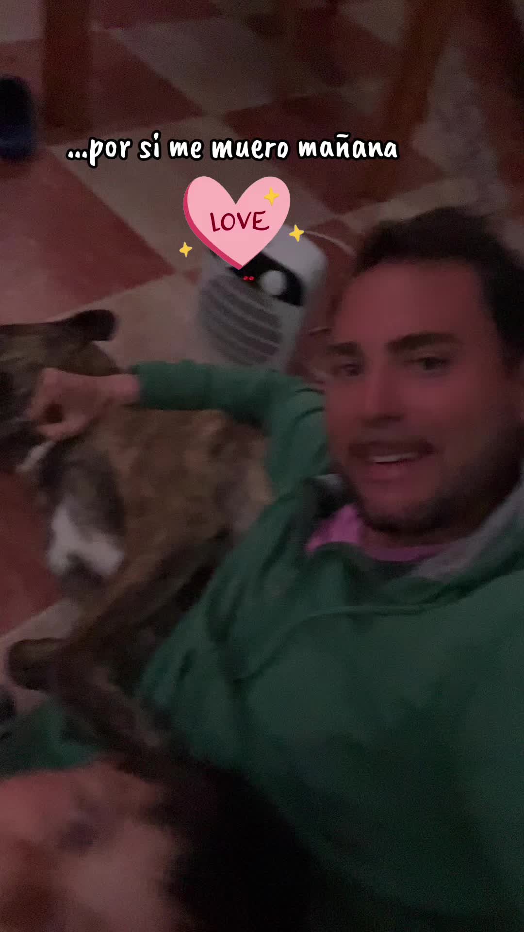 @adican_adiestradorcanino