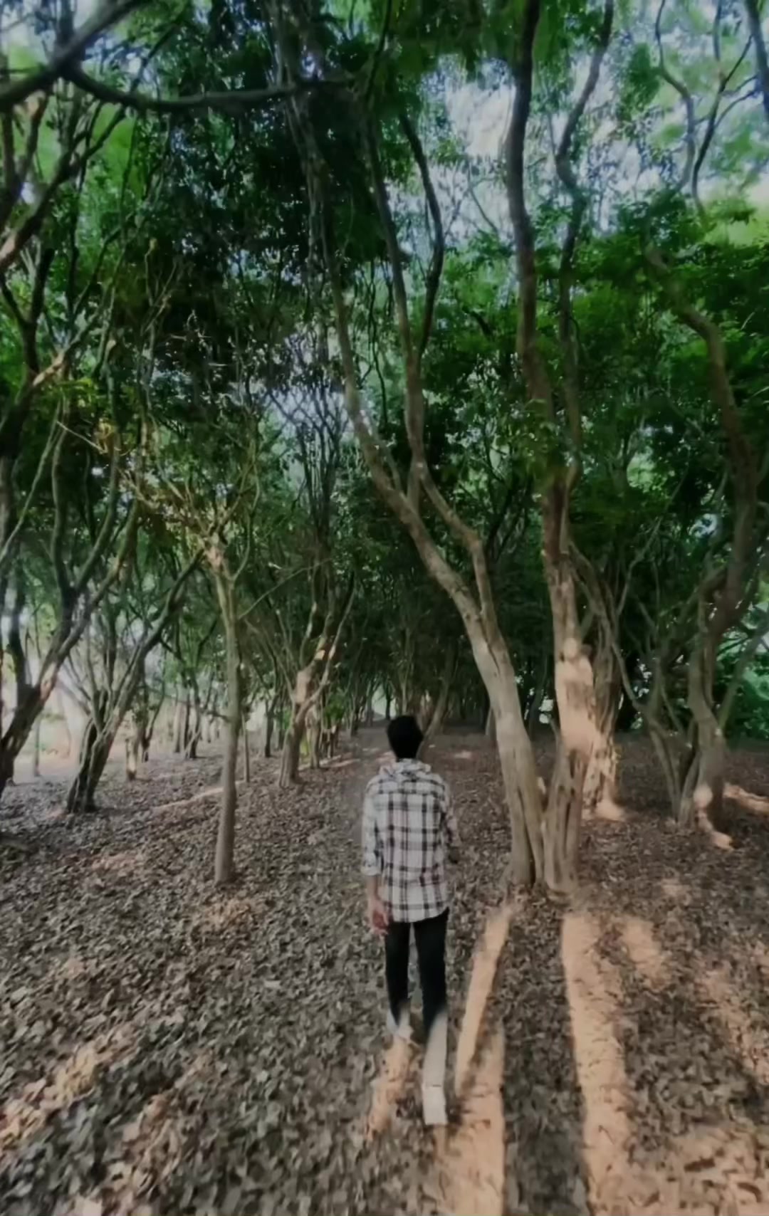@DarPok☠️