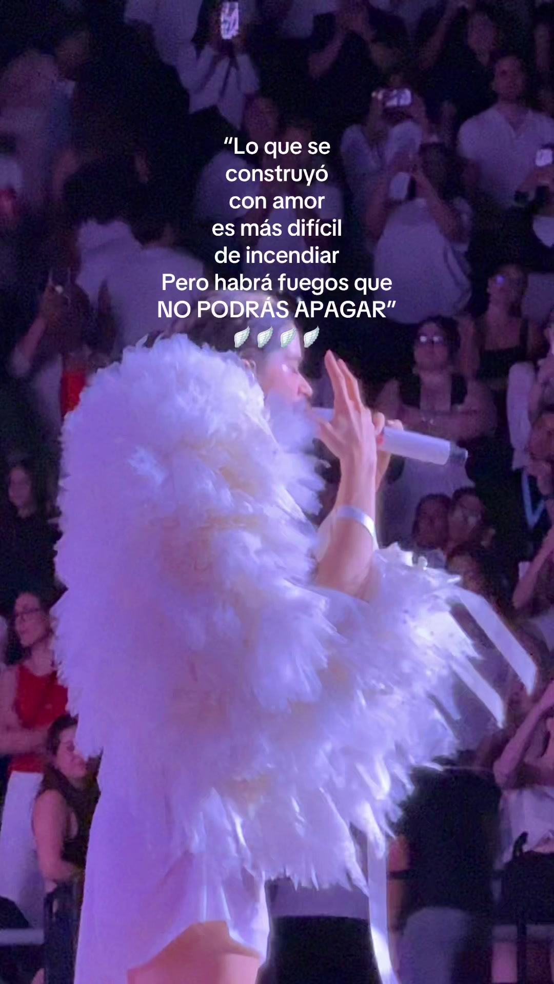@yamirootz