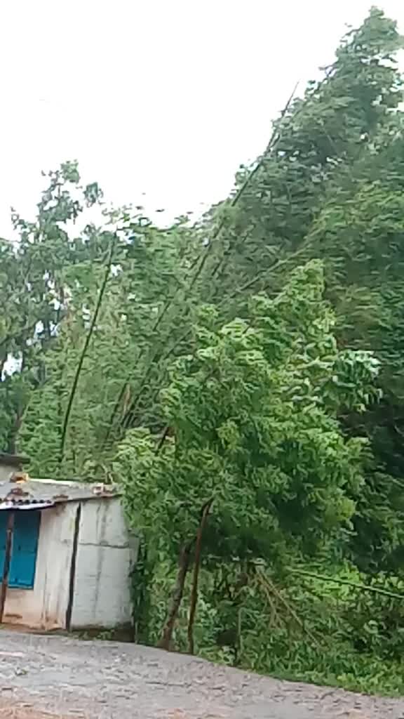 @Litu khamurai