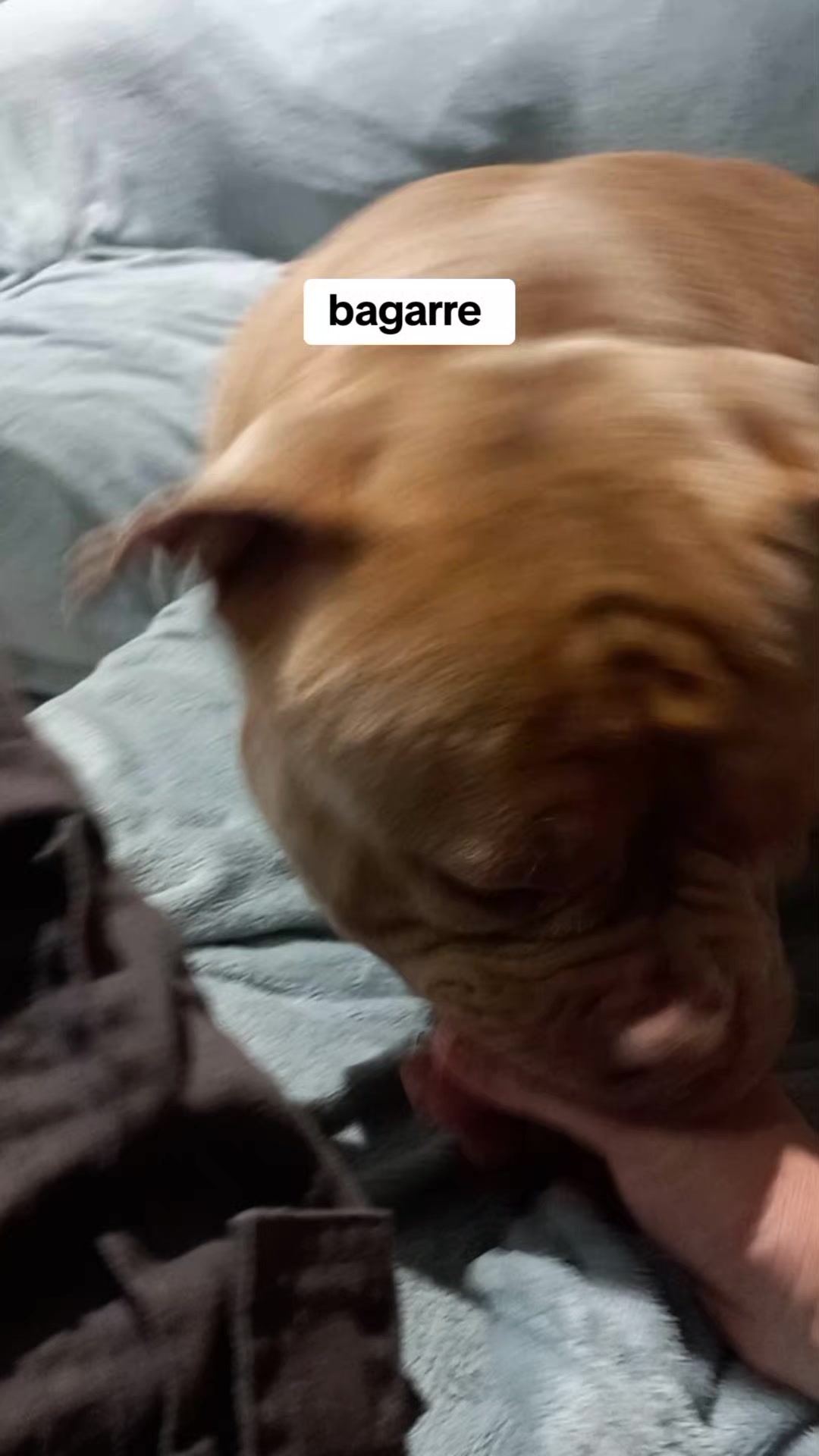 @yaya
