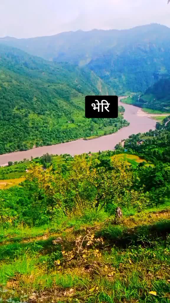 @sharada hamal