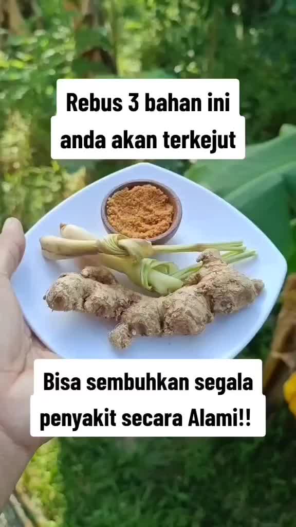 @Neo Healing