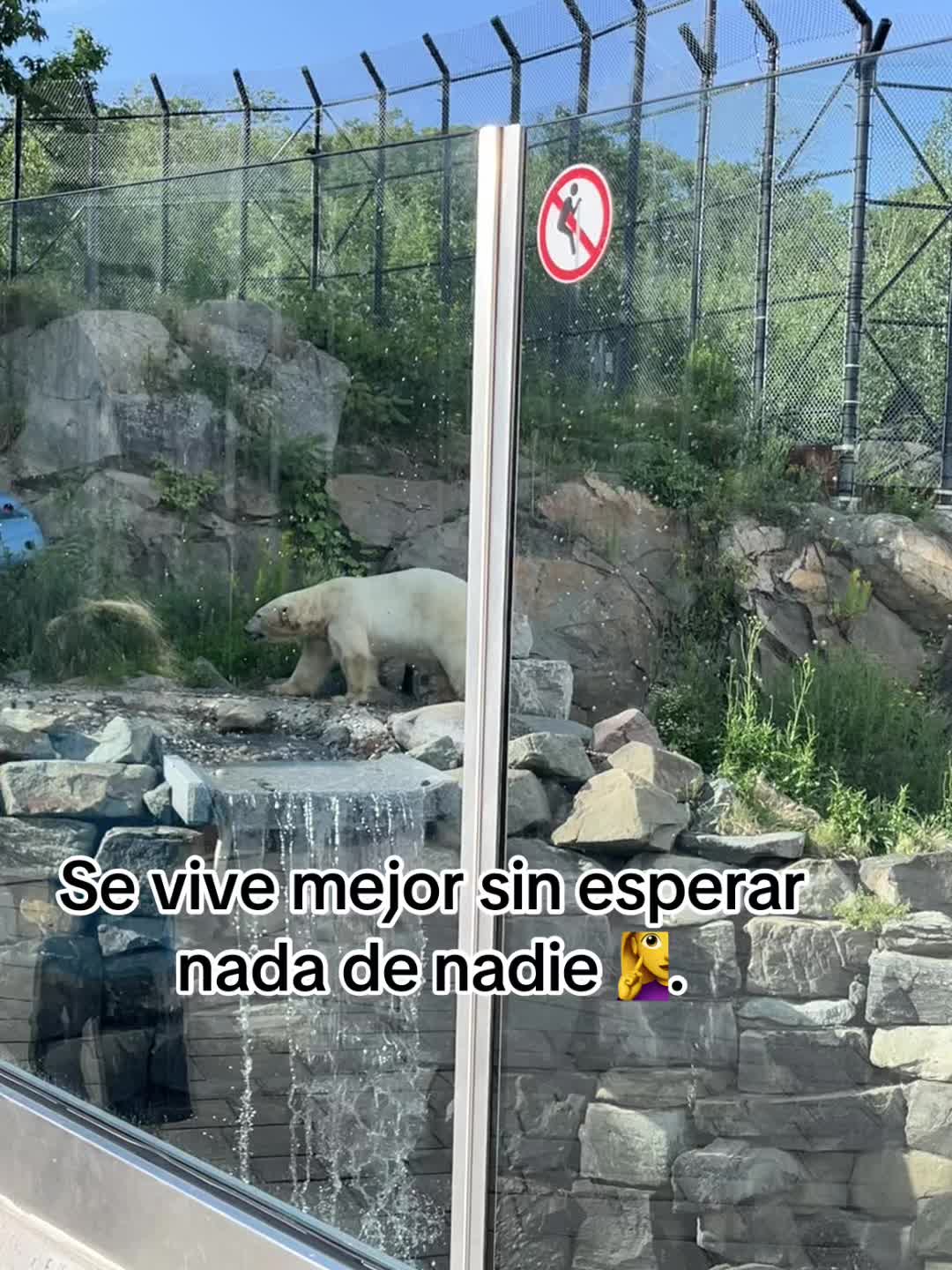 @usuarionomeconoces