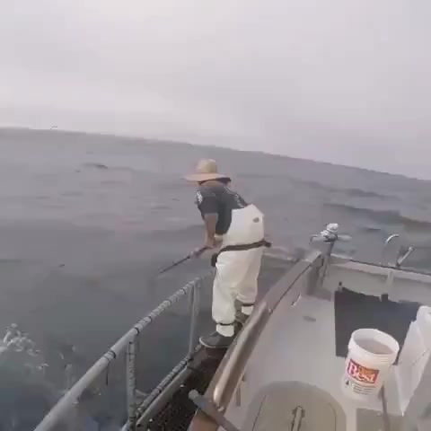 @Я твой космос