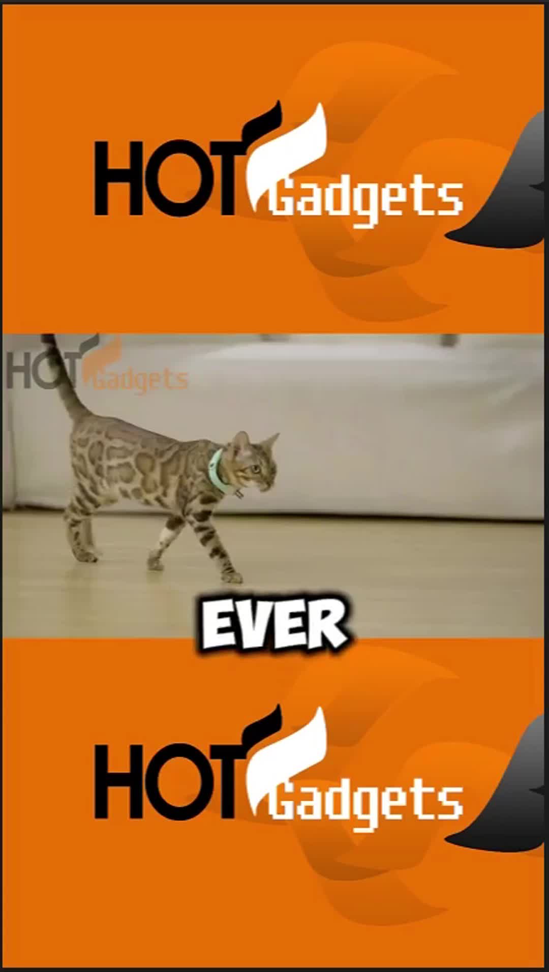 @Hot Gadgets