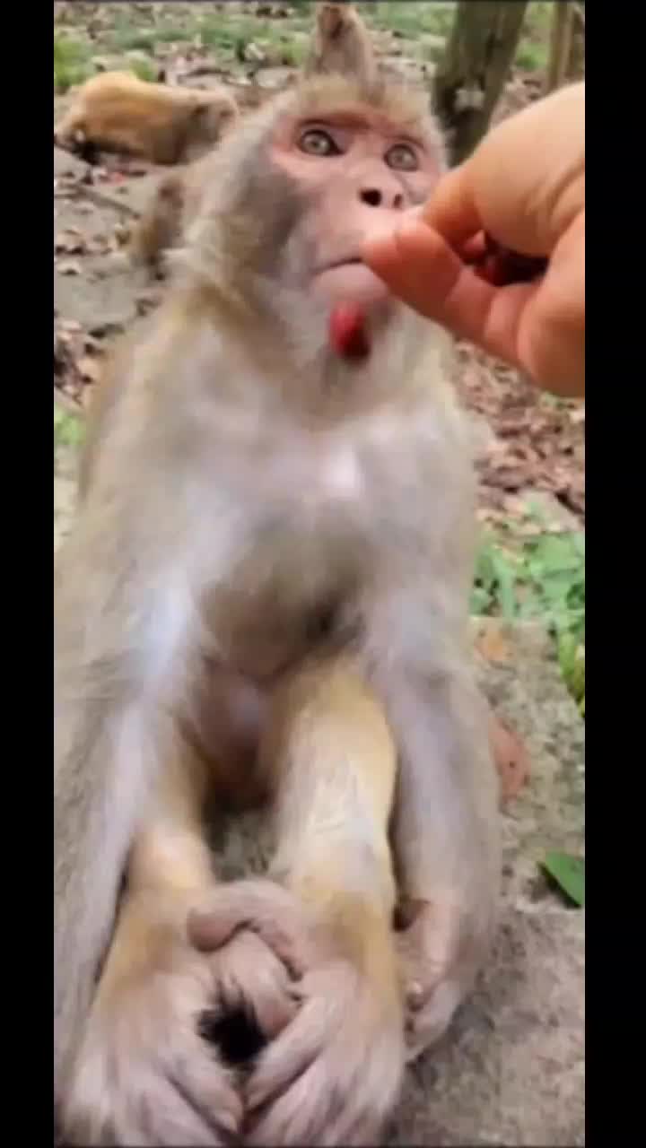 @๐ชโ๐ฑโ๐ชโ๐ฐโ๐ฎ๐ค๐ฝ๐๐ฃ๐๐