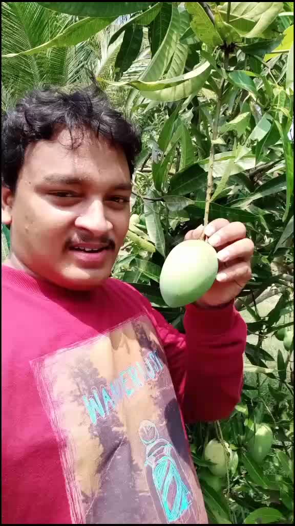 @surya