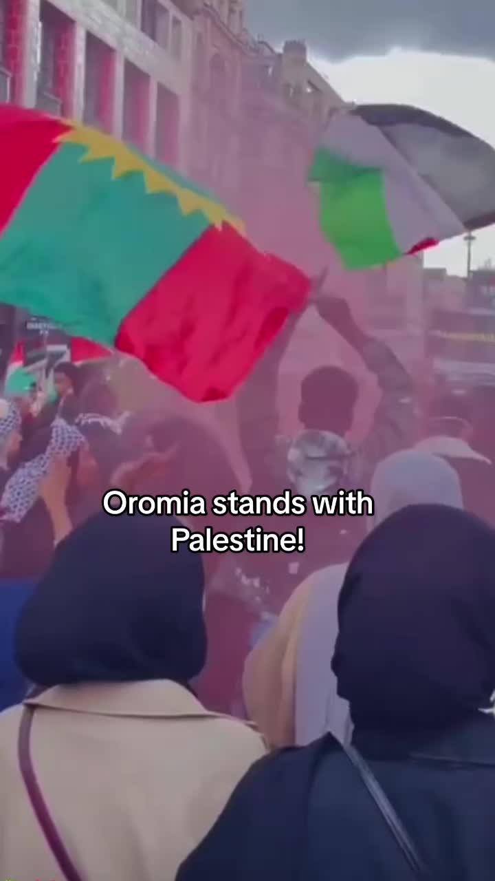 @Bareedu Oromo ❦