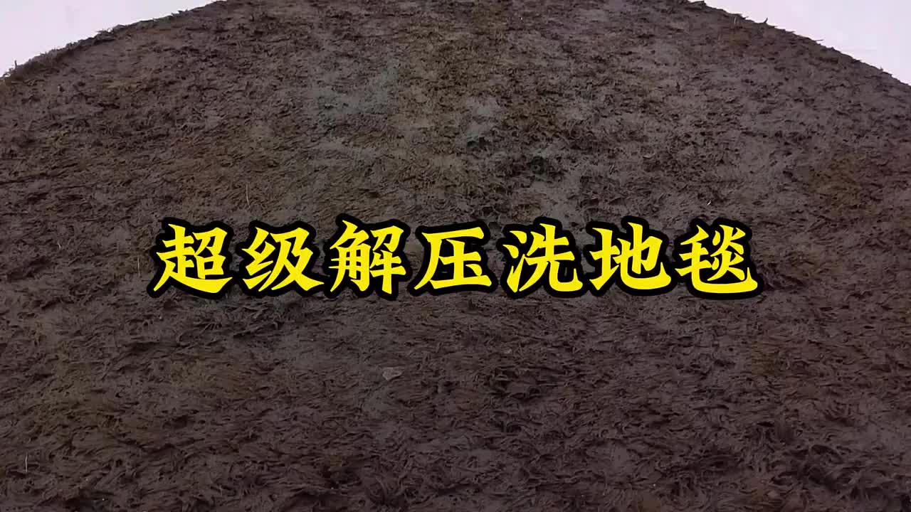 @露 陈