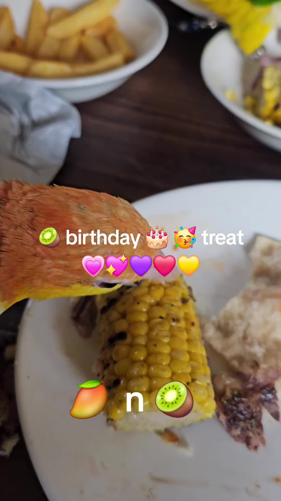 @🥭 🥝 🌶 🥥