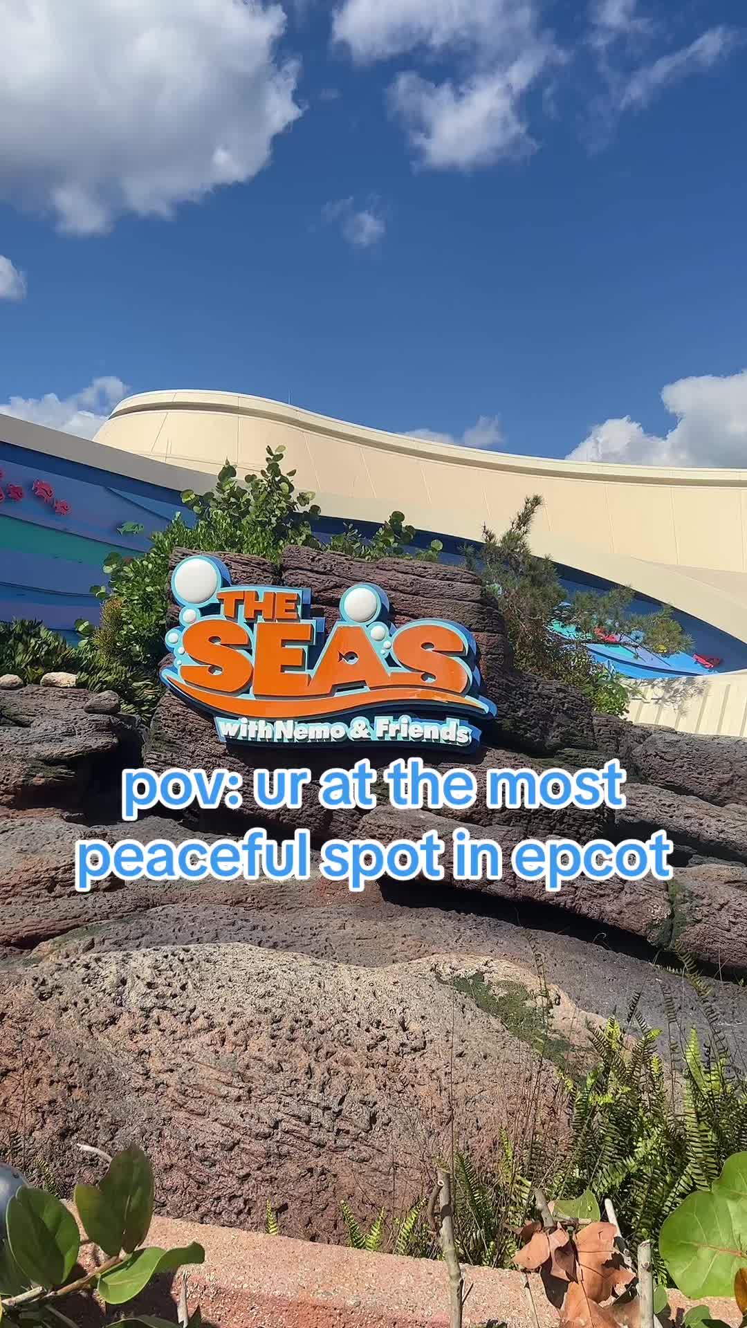 @hallie