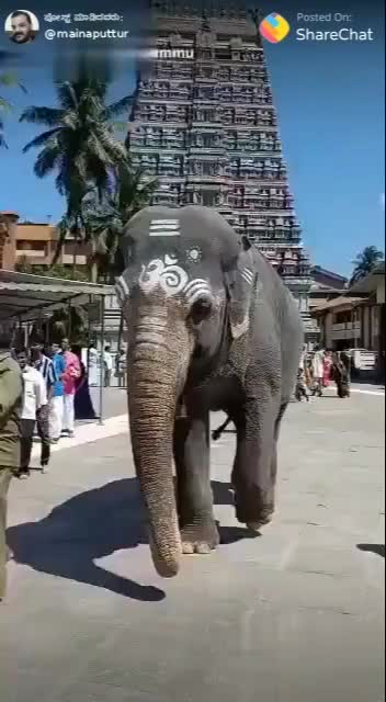 @user235304
