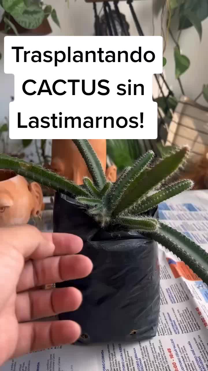 @Pasi&oacute;n a la jardiner&iacute;a🌺💦👈🏼