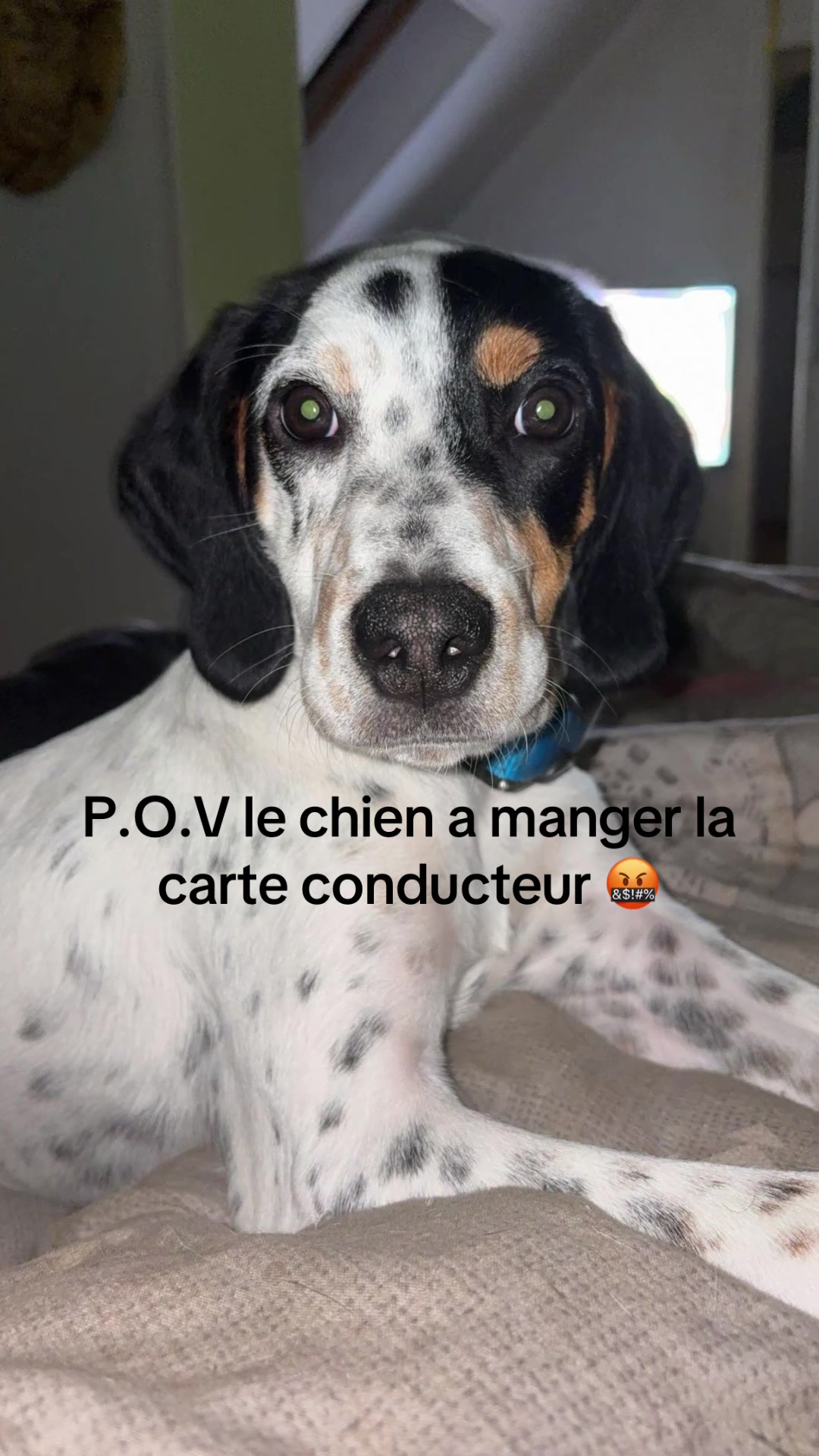 @🚛Nolwenn🚛
