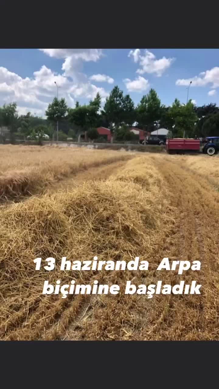 @H,can Sezer