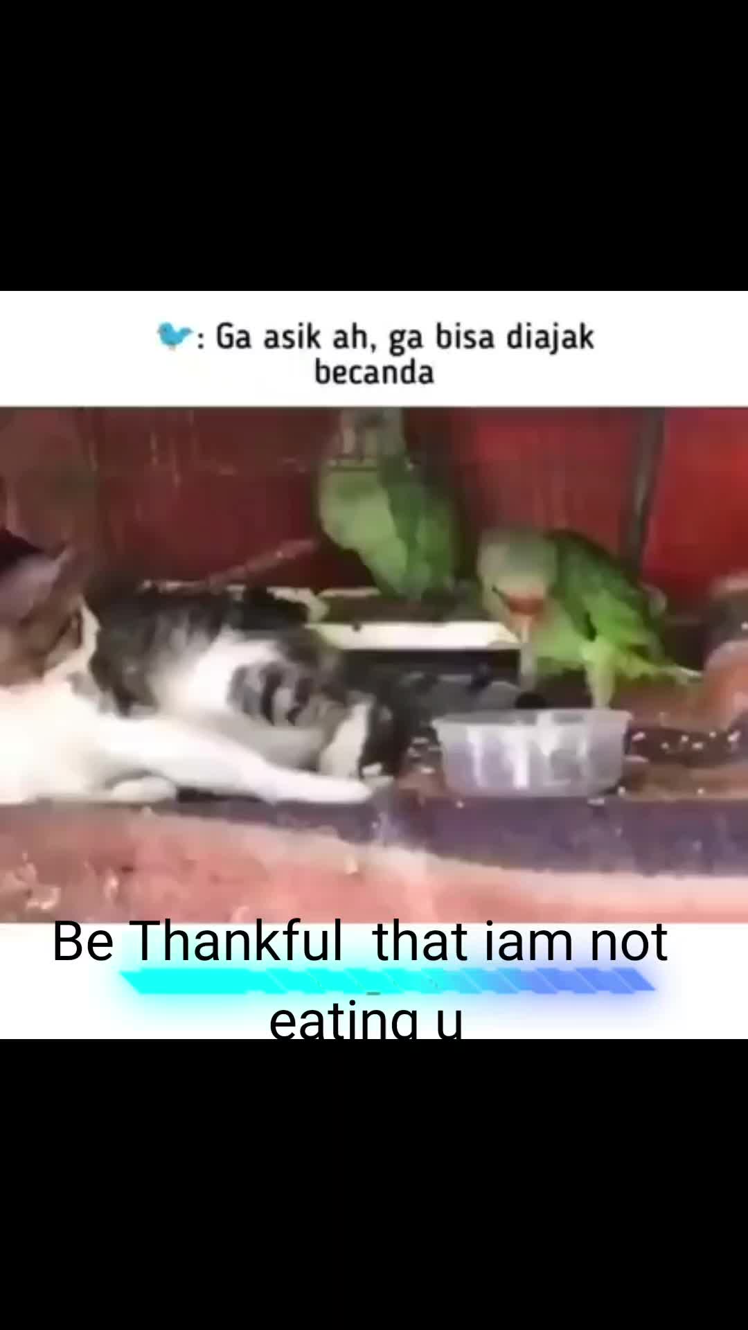 @Malik khan