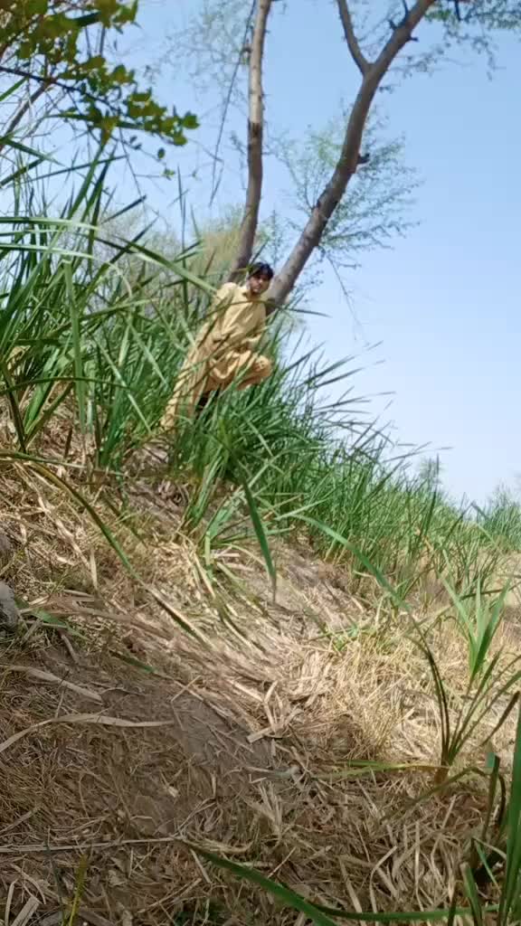 @Riaz Ali Khosa