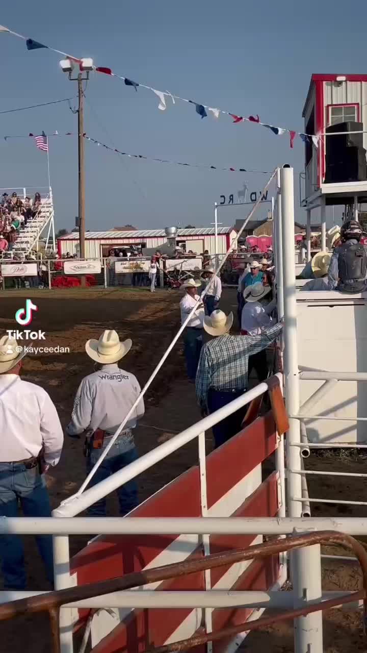 @🐂Haze Reed-Mini Bull Rider🐂