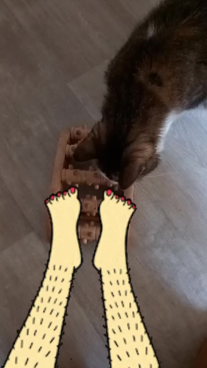 @Pêche 😺